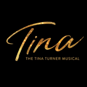 Tina Turner The Musical